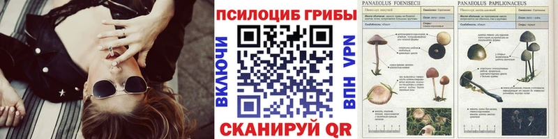 Галлюциногенные грибы MAGIC MUSHROOMS  Магадан 